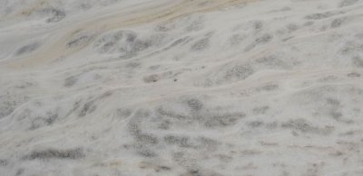 Bianco  Leopardo